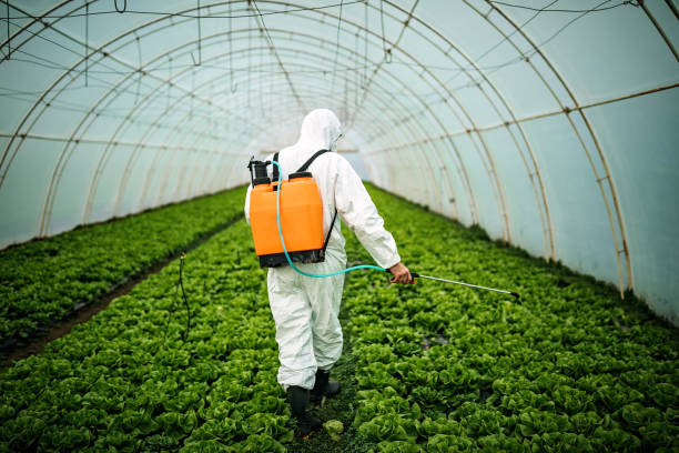 Best Local Pest Control Services  in Logan, WV