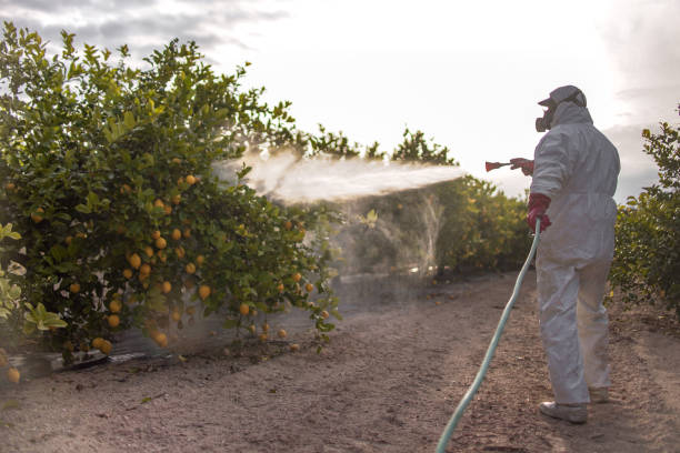 Best Pest Control Near Me in Logan, WV
